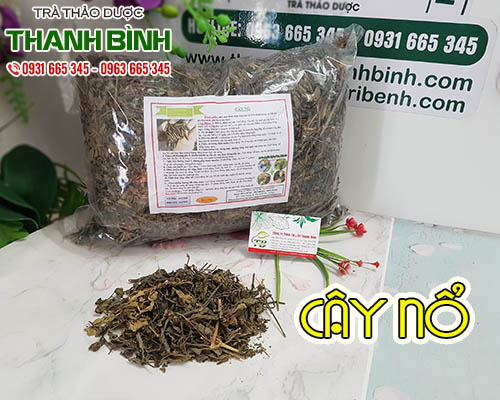 Mua cây nổ giá rẻ uy tín chất lượng nhất ở đâu?