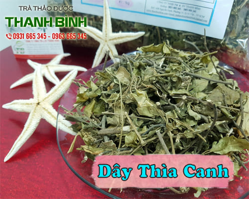 Mua dây thìa canh giá rẻ uy tín ở đâu tại tphcm ?