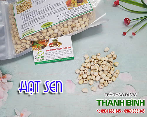 Mua bán hạt sen tại quận 12 giúp điều trị bệnh mất ngủ và kém ăn rất tốt