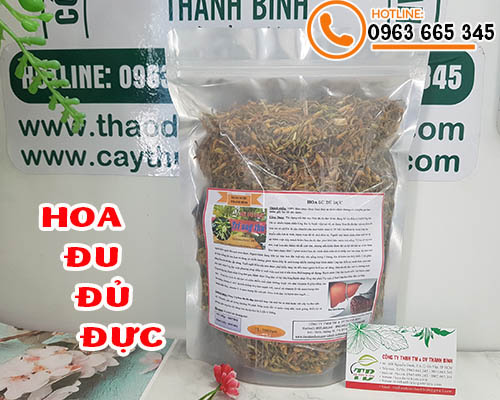 Mua bán hoa đu đủ đực tại quận 10 có tính kháng viêm cao, ngăn ngừ ung thư