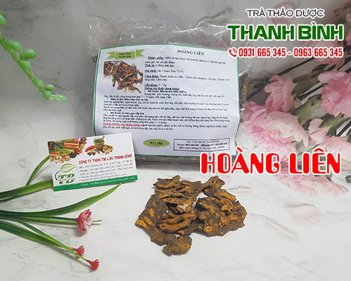 Mua bán hoàng liên ở huyện bình chánh giúp điều trị viêm ruột và kiết lỵ