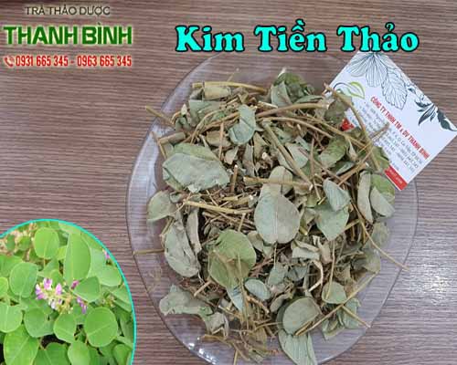 Kim tiền thảo trị sỏi thận - kim tiền thảo mua ở đâu?