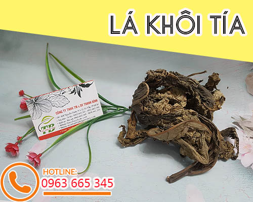Mua lá khôi tía ở đâu tại tphcm ???