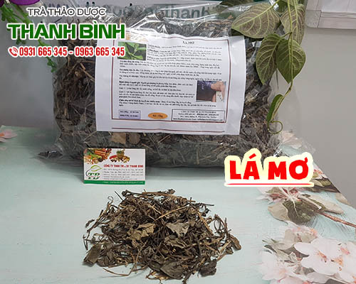 Mua bán lá mơ tại quận 3 có tác dụng điều trị bệnh lỵ và tẩy giun rất tốt