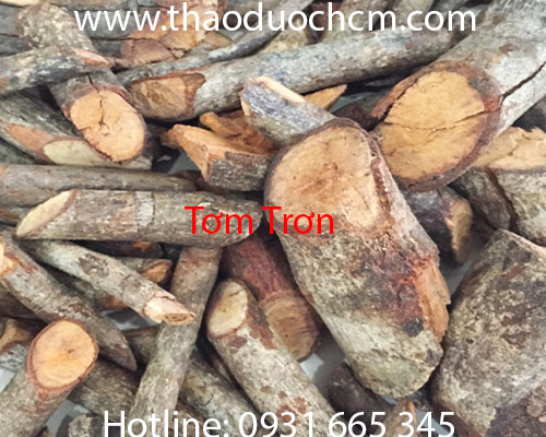 Mua bán tơm trơn ở quận tân phú có tác dụng giúp ăn ngon miệng tốt nhất