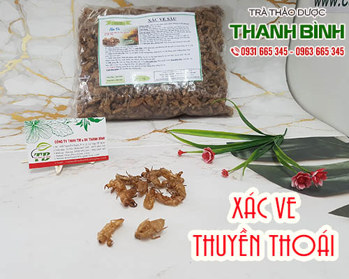 Cách sử dụng xác ve trong điều trị bệnh sởi, nổi mề đay tốt nhất
