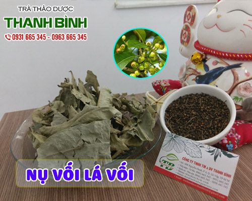 Mua bán nụ vối lá vối tại huyện phúc thọ rất tốt cho người mỡ máu cao
