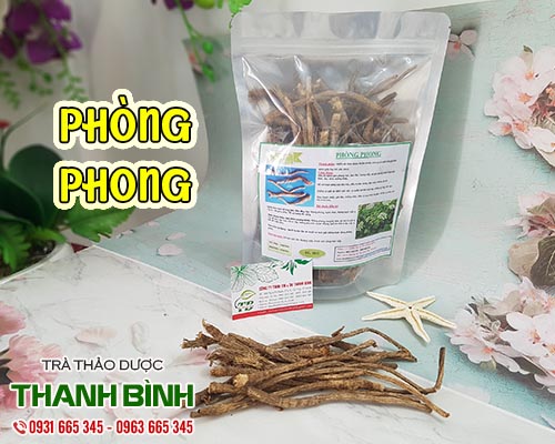 Cách sử dụng phòng phong trong điều trị viêm đa khớp dạng thấp tốt nhất