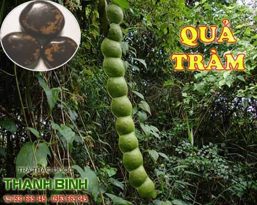 Mua bán quả tràm ở quận gò vấp giúp điều trị bệnh ghẻ lở, ngứa trên da