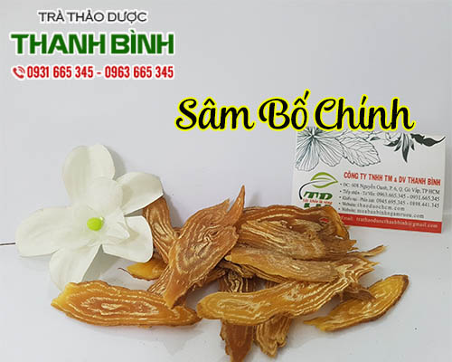 Mua bán sâm bố chính tại hà nội uy tín chất lượng tốt nhất
