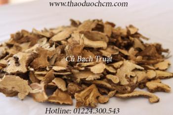 Mua bán củ bạch truật tại huyện hóc môn giúp điều trị viêm đại tràng