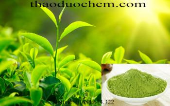 Mua bán bột trà xanh tại quận thủ đức giúp trị mụn và sẹo mụn