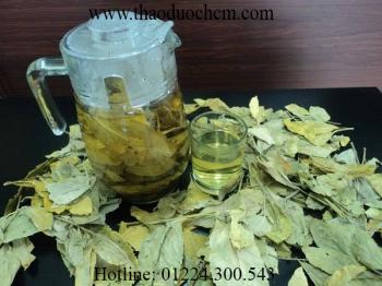 Mua bán chè dung tại quận tân phú giúp kháng khuẩn kháng viêm hiệu quả