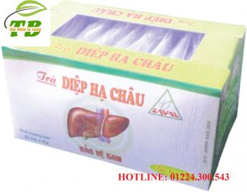 Lava diệp hạ châu 
