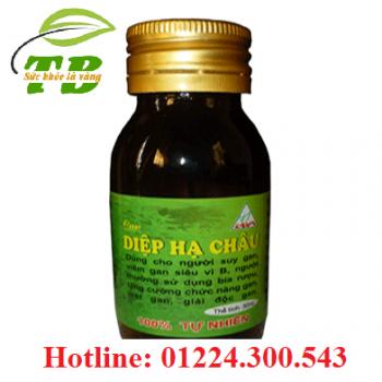 Lava cao chó đẻ- diệp hạ châu