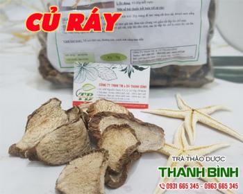 Mua bán củ ráy ở huyện củ chi dùng điều trị viêm da cơ địa