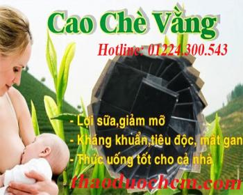 Mua bán cao chè vằng tại tphcm uy tín chất lượng tốt nhất