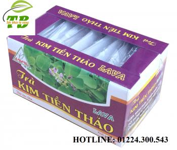Lava kim tiền thảo
