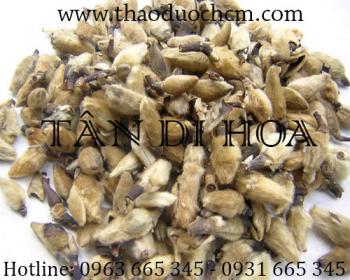 Mua bán tân di hoa tại đồng tháp có tác dụng điều trị viêm xoang mãn