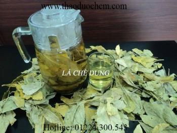 địa chỉ bán chè dung trong việc giảm cân uy tín chất lượng nhất