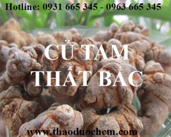 Mua bán củ tam thất bắc tại huyện đông anh có tác dụng giảm đau bụng kinh