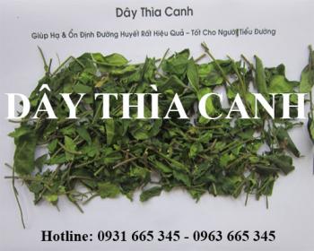 Mua bán dây thìa canh tại quận hai bà trưng điều trị ho long đờm tốt nhất