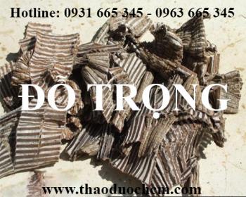 Mua bán đỗ trọng tại huyện mỹ đức rất tốt trong việc bồi bổ sức khỏe