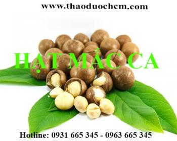 địa chỉ mua quả mắc ca giúp cung cấp chất dinh dưỡng cho bà bầu và trẻ nhỏ