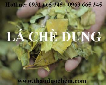 Mua bán lá chè dung tại huyện hoài đức có tác dụng điều trị viêm dạ dày