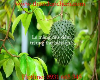 Mua bán lá mãng cầu tại bà rịa vũng tàu giúp điều trị ung thư hiệu quả nhất