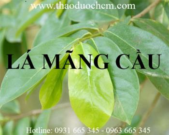 địa chỉ mua lá mãng cầu xiêm giúp điều trị ung thư uy tín hiệu quả nhất