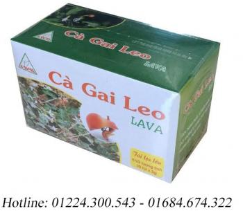 Lava cà gai leo