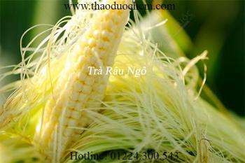 Tác dụng của râu ngô trong điều trị sỏi thận tốt nhất