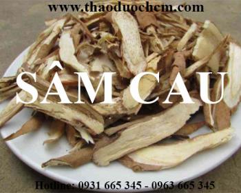 địa chỉ bán sâm cau tại hà nội hỗ trợ bổ thận tráng dương uy tín nhất