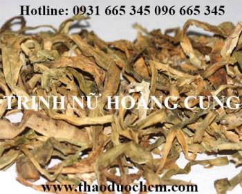 Mua bán trinh nữ hoàng cung tại huyện quốc oai có công dụng điều trị u vú