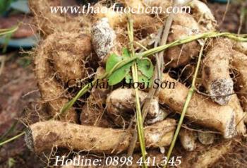 Mua hoài sơn ( củ mài ) ở đâu tại tp hcm ???
