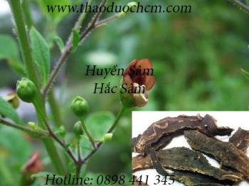 Mua bán huyền sâm tại hóc môn điều trị lở loét vùng miệng uy tín nhất