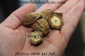 Mua quả kha tử ở đâu tại tp hcm ???