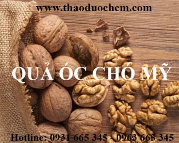 Mua bán qủa óc chó tại huyện đông anh có công dụng giúp bé thông minh