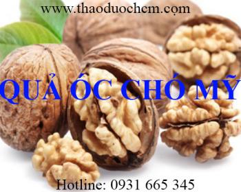 địa chỉ mua quả óc chó mỹ tốt cho sức khỏe mẹ và bé giúp tăng cường trí nhớ