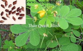 Mua bán thảo quyết minh tại quận tân bình giúp an thần dễ ngủ tốt nhất