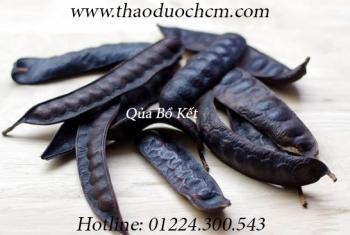 Mua bồ kết tại quận 1 giúp tóc đen mượt hiệu quả