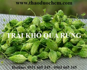 Mua bán khổ qua rừng tại huyện mỹ đức có tác dụng ổn định đường huyết