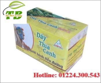 Lava dây thìa canh 