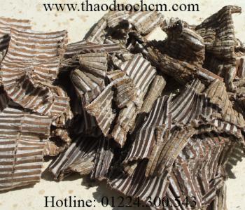 Mua bán đỗ trọng tại quận 12 rất tốt trong việc điều trị chứng liệt dương