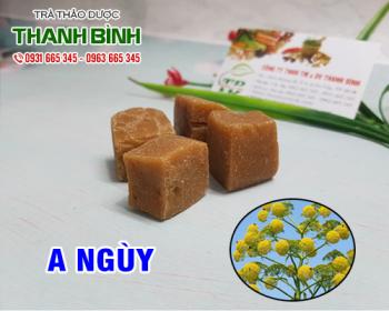 Mua bán a ngùy ở quận phú nhuận điều trị đau quặn và kém ăn