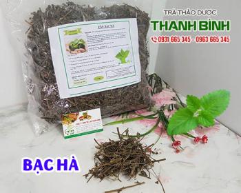 Mua bán bạc hà ở huyện củ chi chữa cảm cúm và giúp ra mồ hôi