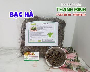 Mua bạc hà giá rẻ uy tín chất lượng nhất ở đâu?