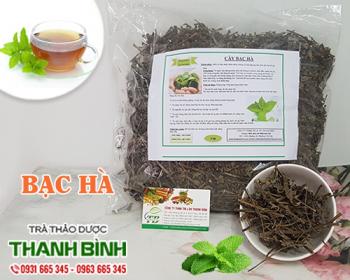 Mua bán bạc hà tại bạc liêu giúp điều trị nghẹt mũi hiệu quả nhất
