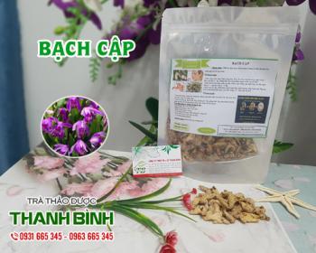 Mua bán bạch cập tại quận hoàn kiếm có công dụng cầm máu hiệu quả